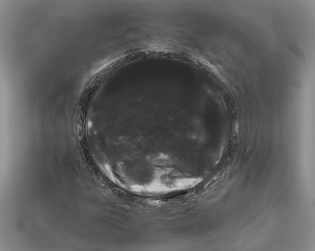 X0000112901303200909111516