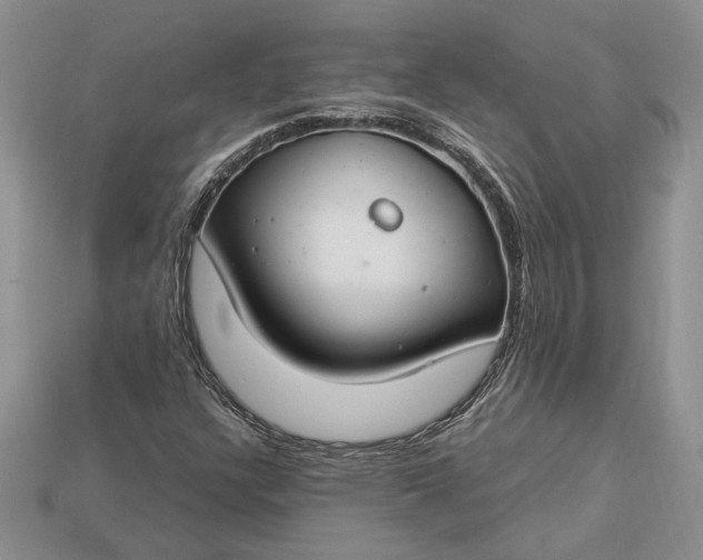 X0000112901304200909111516