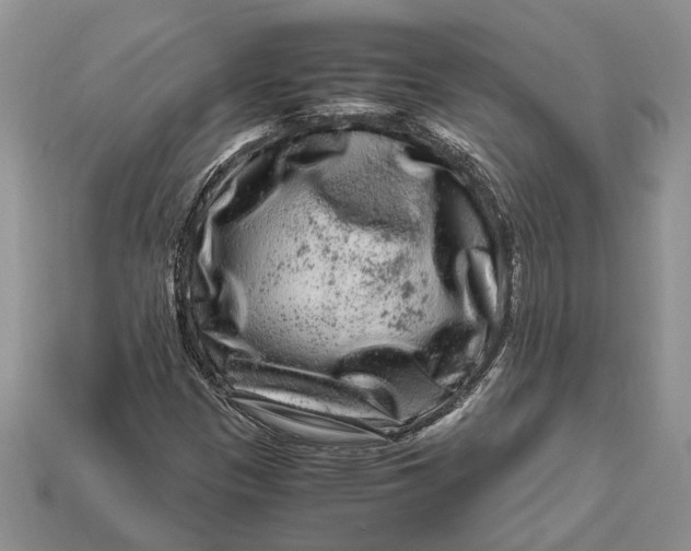 X0000112901305200909111516