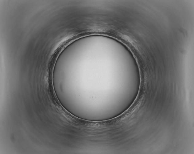 X0000112901307200909111516