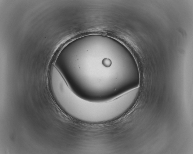 X0000112901308200909111516