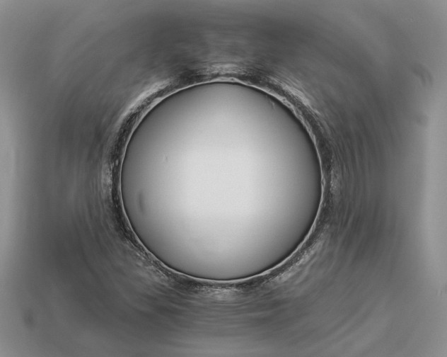 X0000112901309200909111516