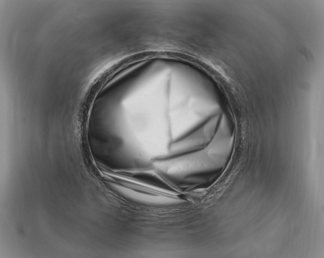 X0000112901311200909111516