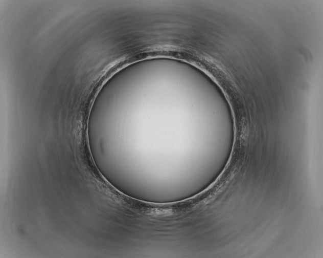 X0000112901313200909111516