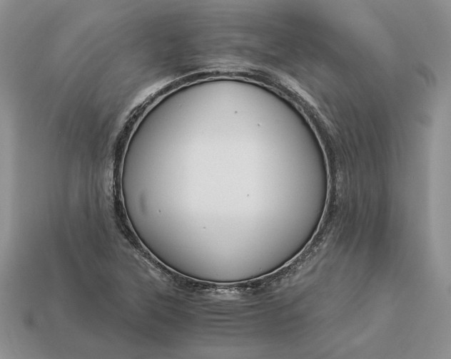 X0000112901315200909111516