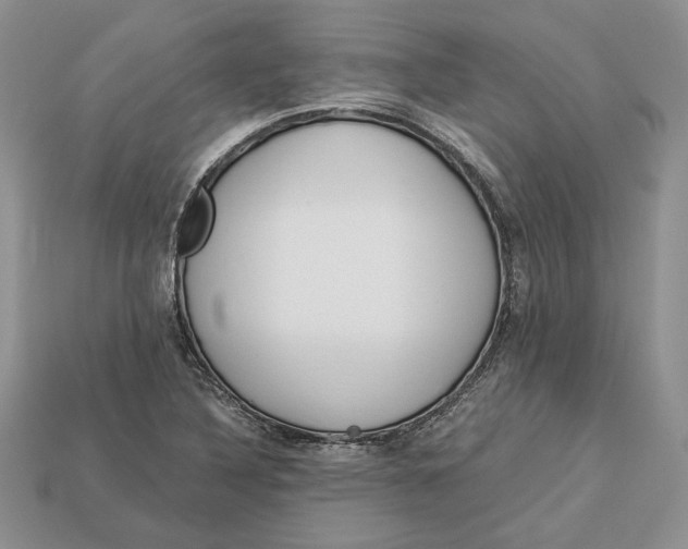 X0000112901316200909111516