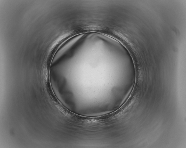 X0000112901317200909111516