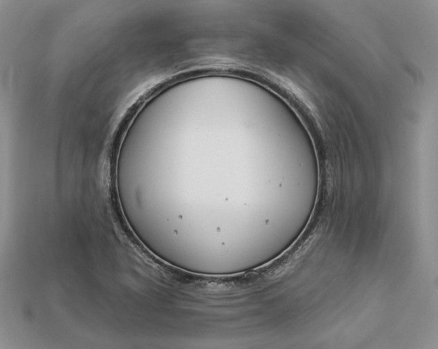 X0000112901318200909111516