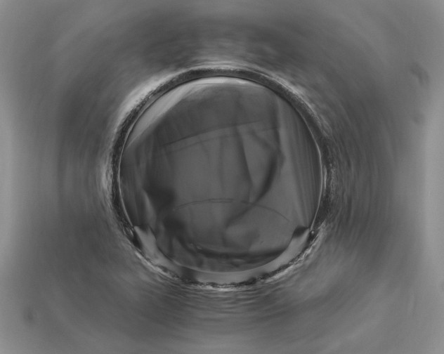 X0000112901319200909111516