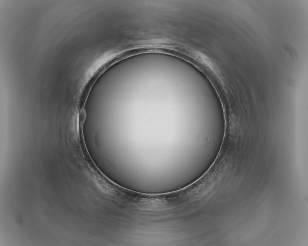 X0000112901320200909111516