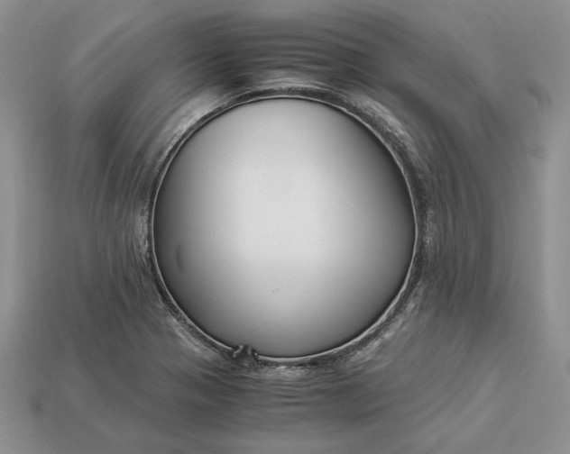 X0000112901321200909111516
