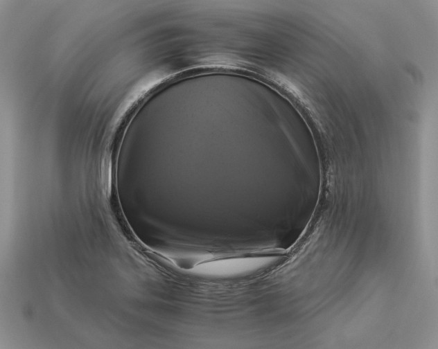 X0000112901323200909111516