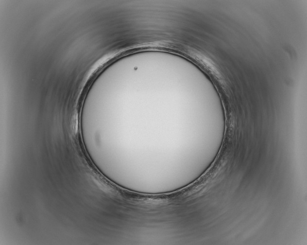 X0000112901324200909111516