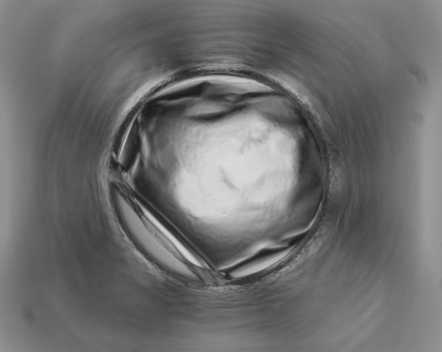X0000112901325200909111516