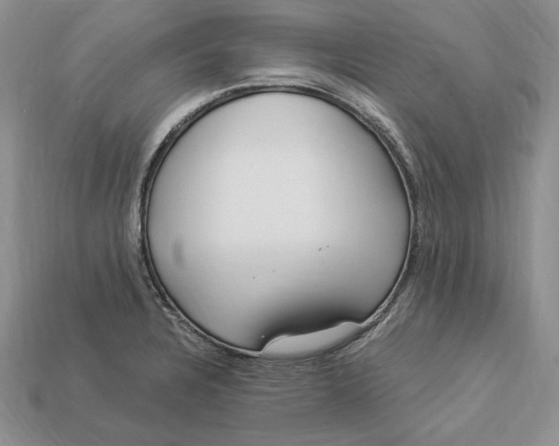X0000112901328200909111517