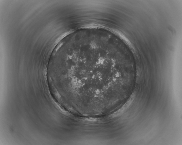 X0000112901329200909111517