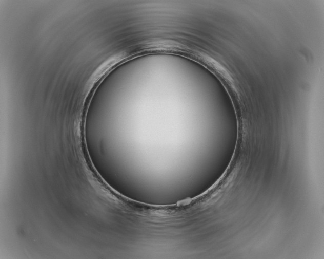 X0000112901330200909111517