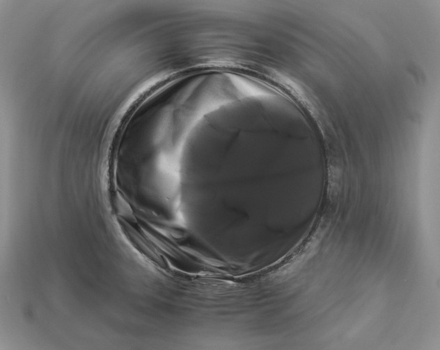 X0000112901331200909111517