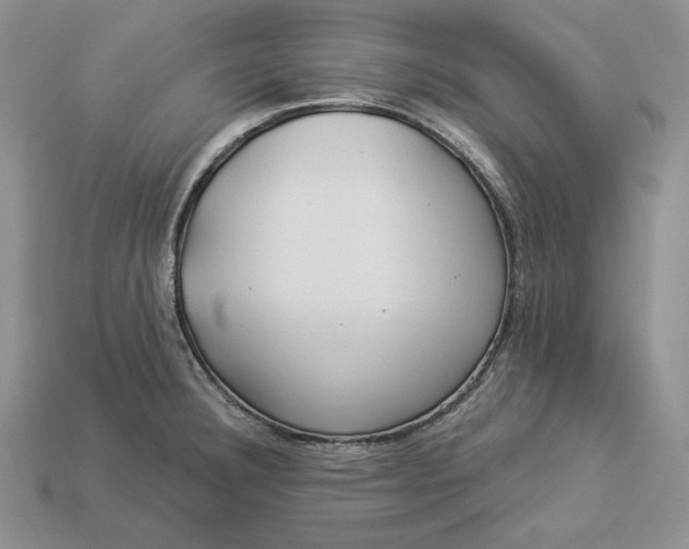X0000112901332200909111517