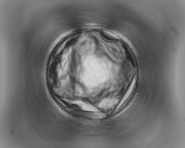 X0000112901333200909111517