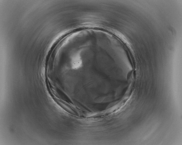 X0000112901334200909111517