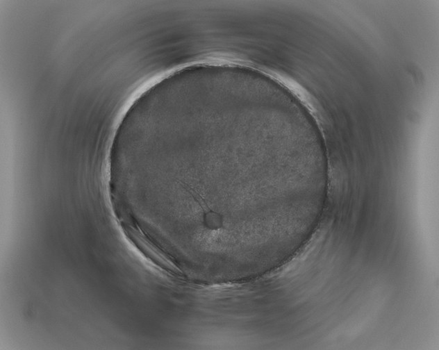 X0000112901335200909111517