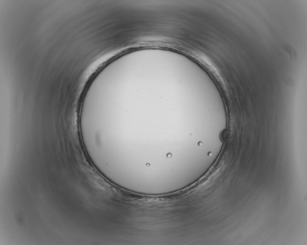 X0000112901336200909111517