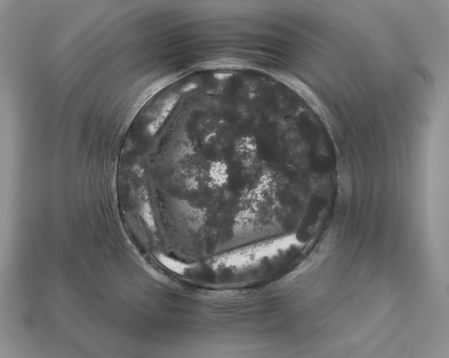 X0000112901337200909111517