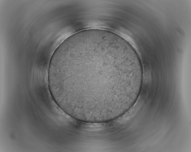 X0000112901338200909111517