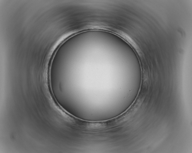 X0000112901339200909111517