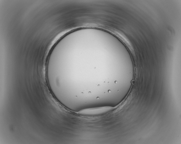 X0000112901340200909111517
