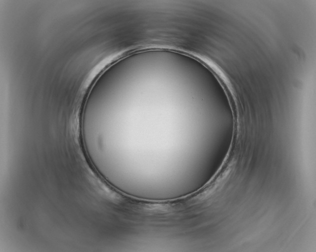 X0000112901341200909111517