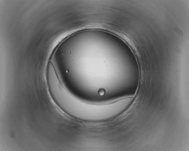 X0000112901342200909111517