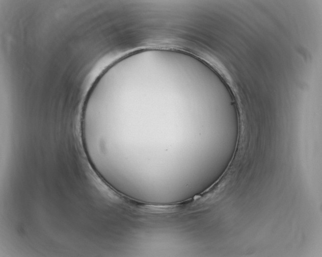 X0000112901344200909111517