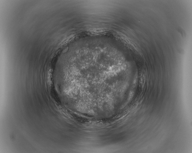 X0000112901346200909111516