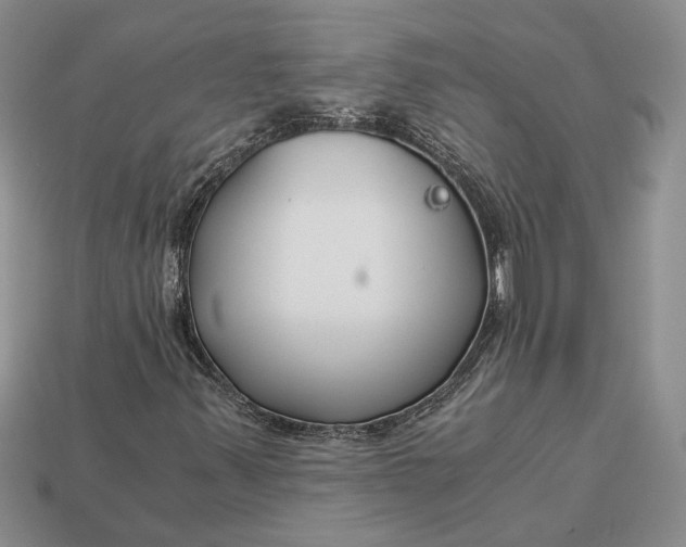 X0000112901347200909111516
