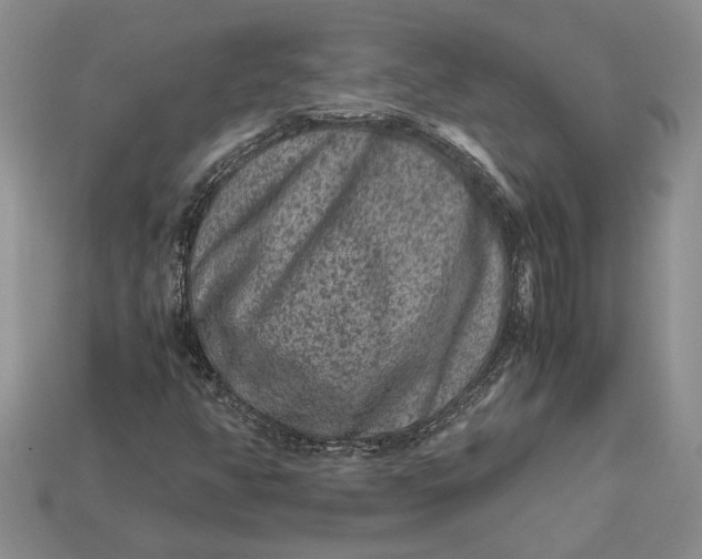 X0000112901350200909111516