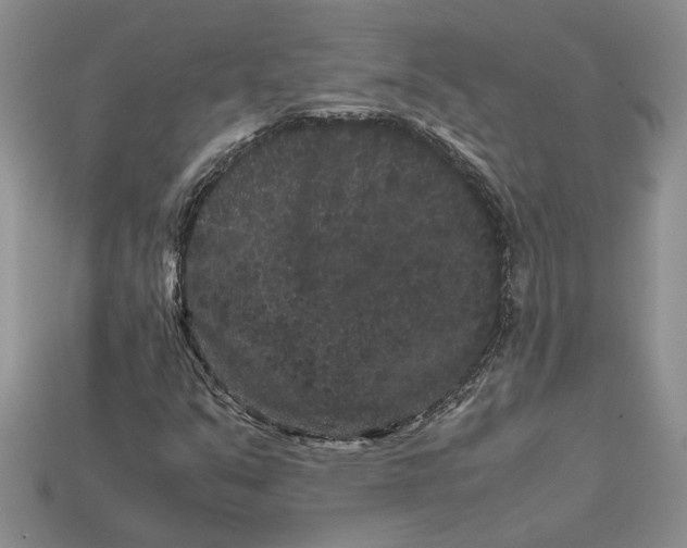 X0000112901351200909111516