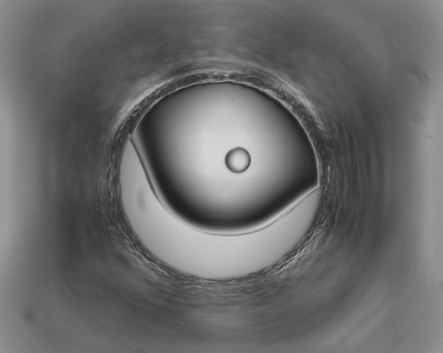 X0000112901352200909111516