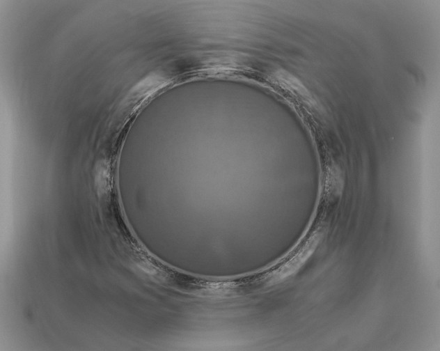 X0000112901353200909111516