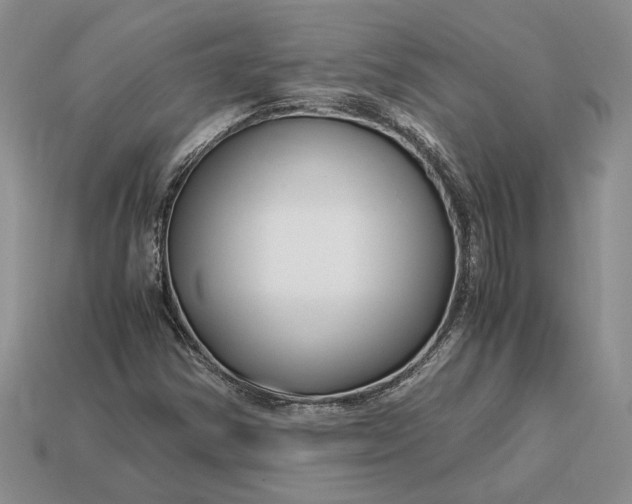 X0000112901354200909111516