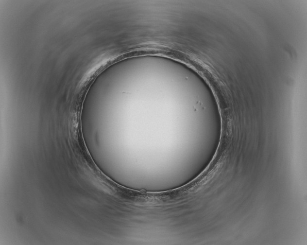X0000112901355200909111516