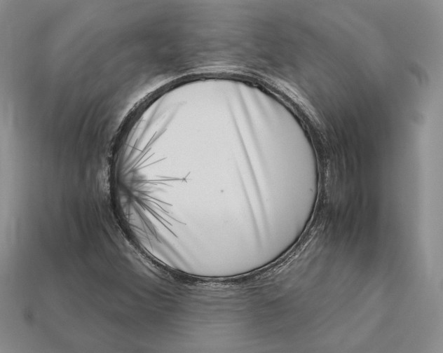 X0000112901356200909111516