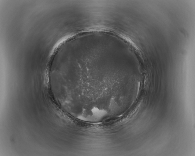 X0000112901358200909111516