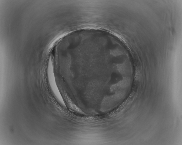 X0000112901359200909111516