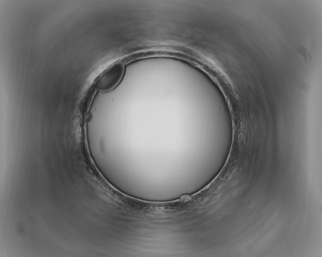 X0000112901360200909111516
