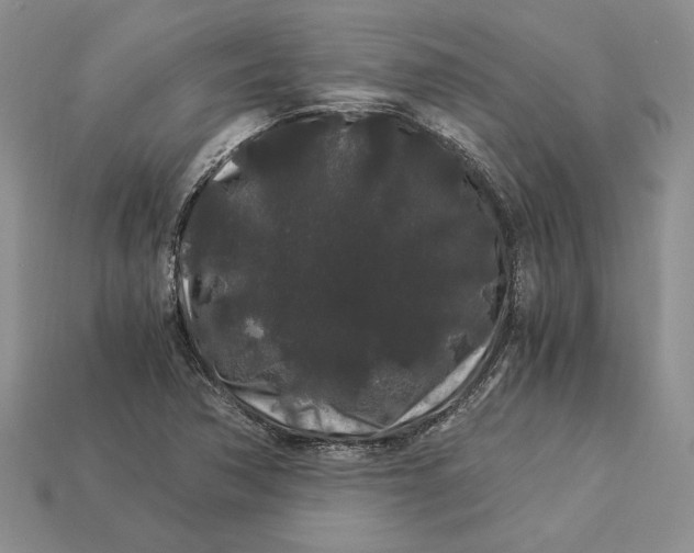 X0000112901362200909111516