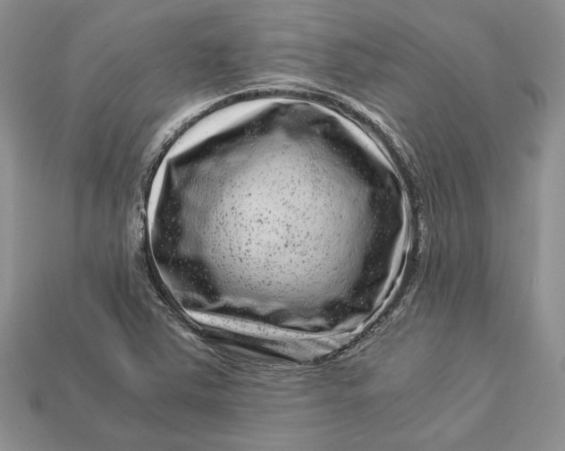 X0000112901363200909111516