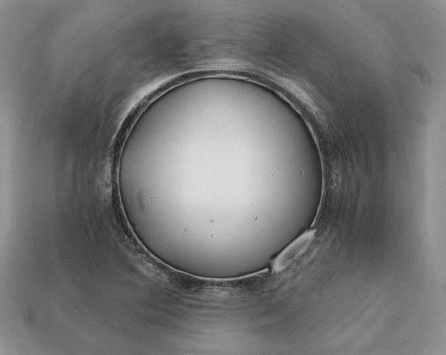 X0000112901364200909111516
