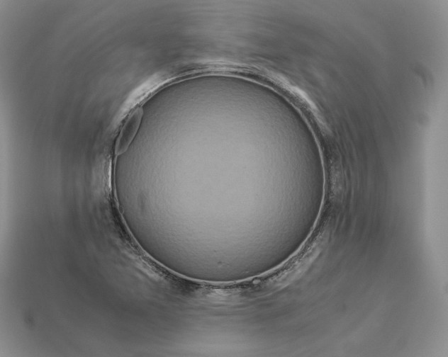 X0000112901365200909111516